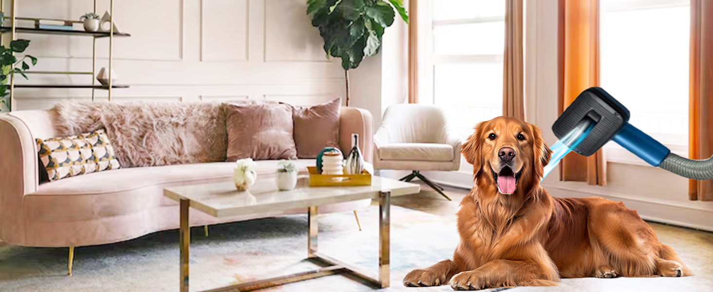 Scena del soggiorno con un cane golden retriever seduto sul pavimento. Un asciugacapelli blu &egrave; posizionato vicino alla testa del cane, suggerendo l'attivit&agrave; di toelettatura degli animali domestici