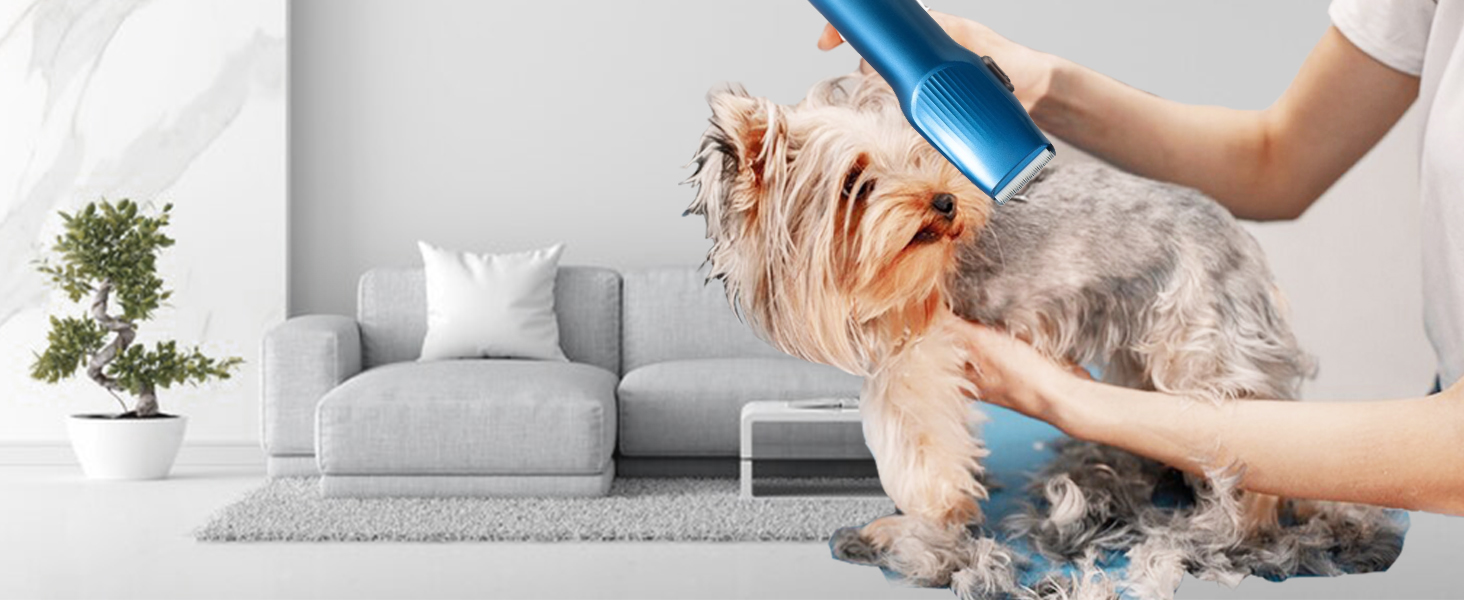 Strumento portatile blu per la toelettatura degli animali domestici utilizzato su un piccolo cane a pelo lungo su un divano grigio. Sullo sfondo &egrave; visibile una piccola pianta in vaso