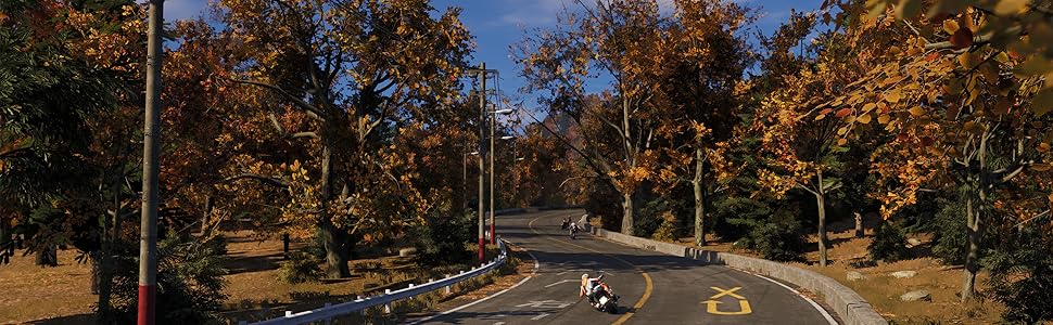 Foto sequenziali di un motociclista che percorre una tortuosa strada autunnale circondata da alberi dal fogliame dorato. Diverse angolazioni mostrano la progressione della svolta.