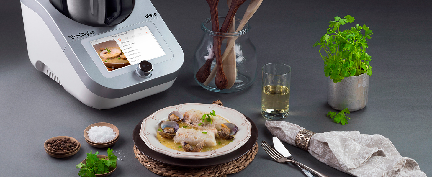 Totalchef Ufesa RK7