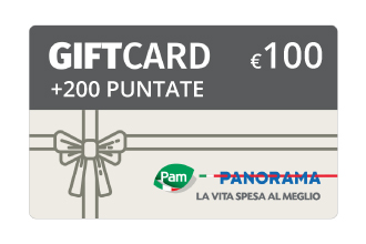100&euro; Pam Panorama &plus;200P