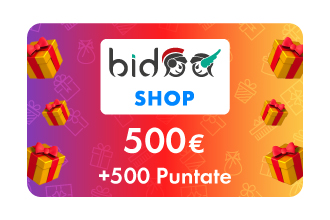 500&euro; Bidoo Shop &plus; 500 pt
