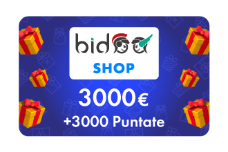 3000&euro; Bidoo Shop &plus; 3000 pt