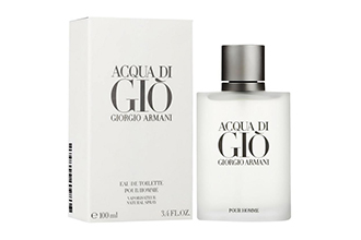 Giorgio Armani Acqua di Gio Eau de Toilette 100 ml