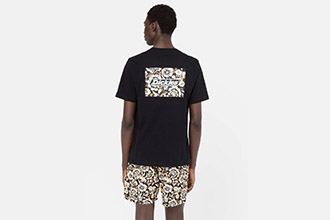 Dickies T-Shirt Roseburg Stampa Quadrata Nera