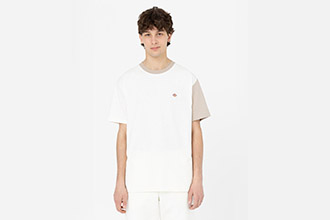 Dickies T-Shirt Eddyville a Maniche Corte