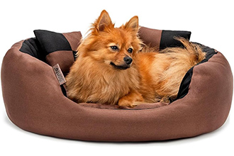 Lettino per Cane 4 in 1 65x60 cm