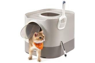 Arena para Gatos con Accesorios Avena