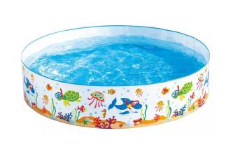Piscina Rigida con Animali Marini