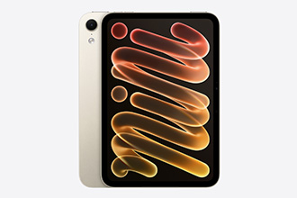 iPad mini 256GB WiFi